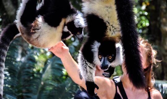Madagaskar, Botswana och Victoriafallen