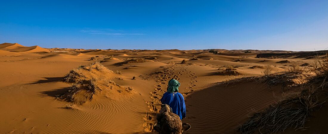 Marocko, Sahara och Kust