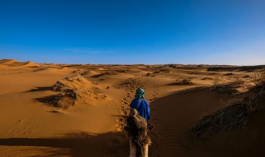 Marocko, Sahara och Kust