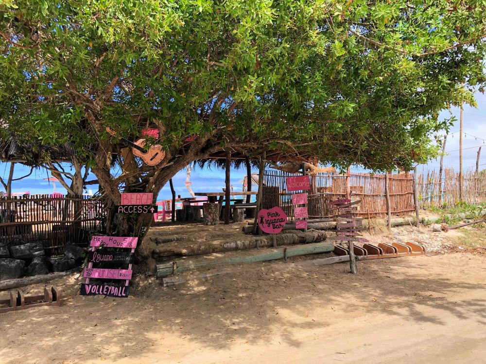 Mysig bar på Galapagos