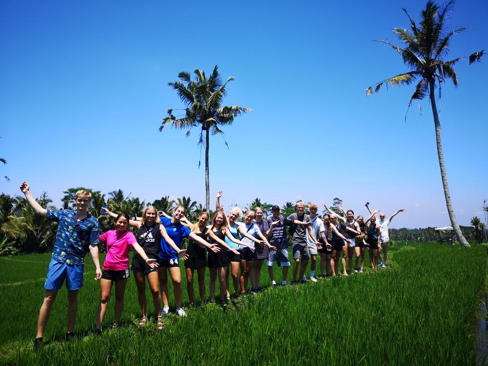 Risfält på Lombok