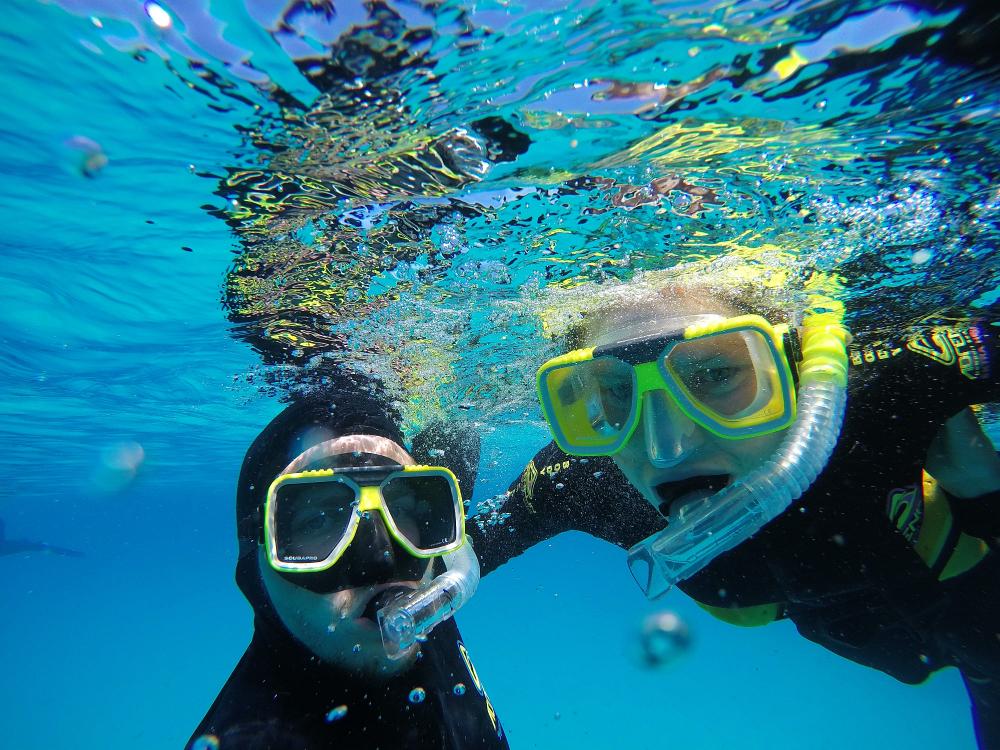 Snorkling vid Great Barrier Reef 