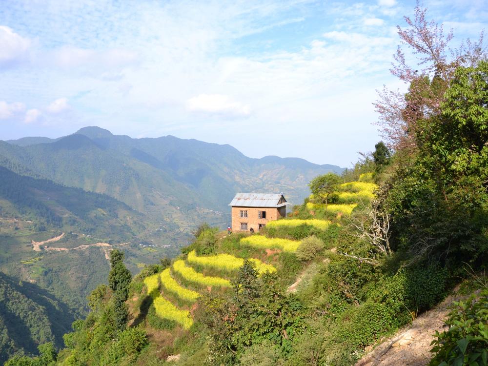 Nepalesisk højland