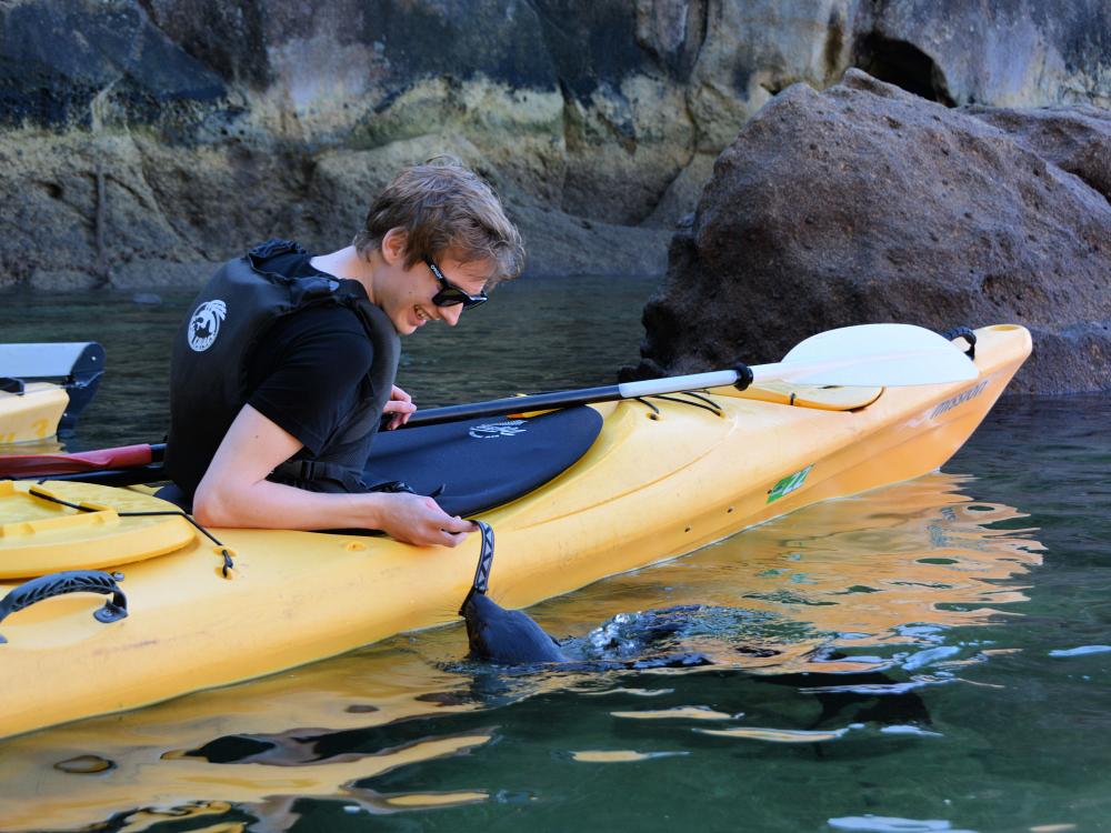 Havskajakpaddling vid Abel Tasman 