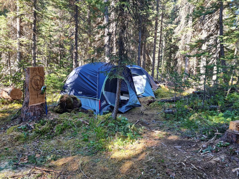 Camping i vildmarken