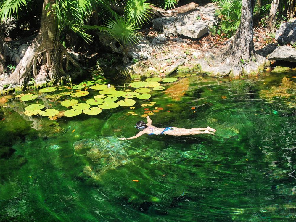 Snorkling i en sval cenote