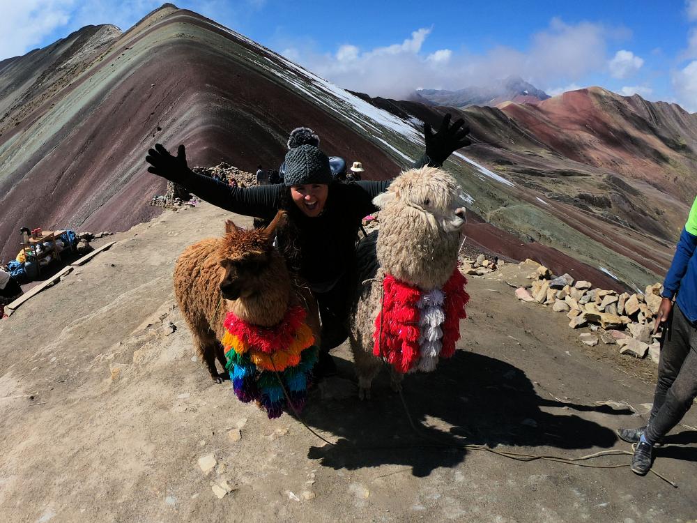 Alpacka på Rainbow Mountain