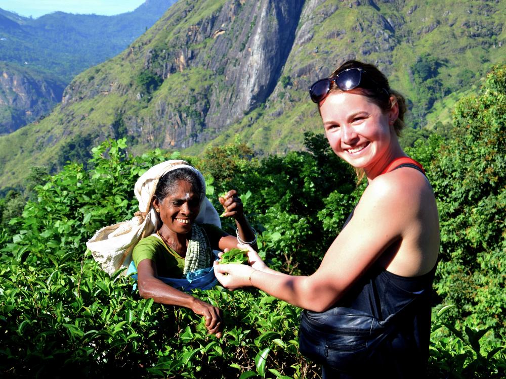 Besök teplantage i Sri Lanka