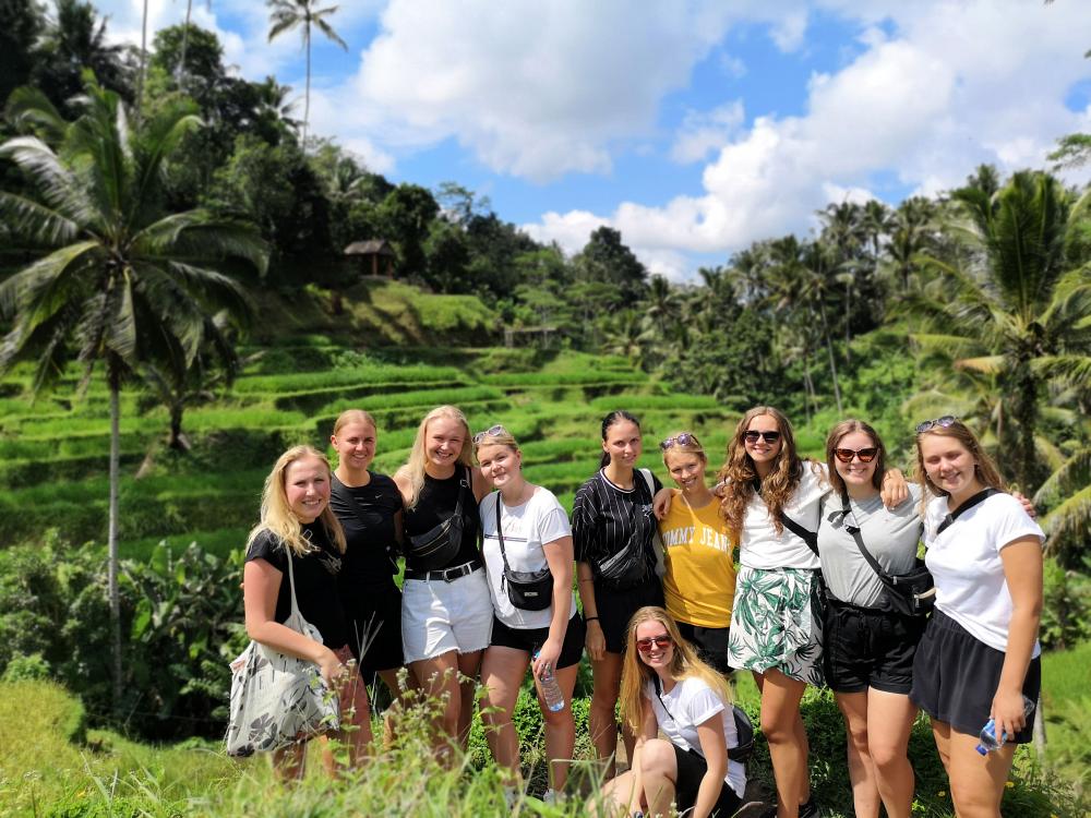 Vackra risfält på Bali