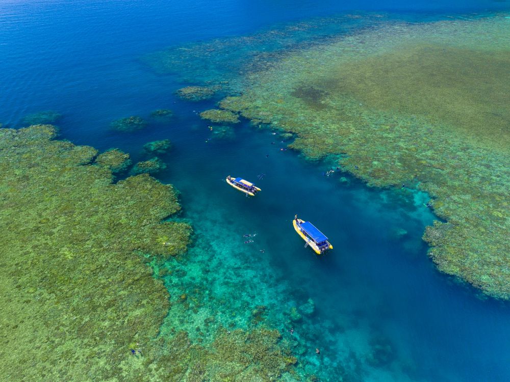 Snorkel ved Whitsunday Islands