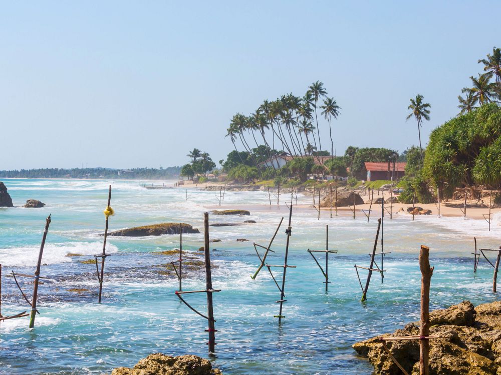 Spöfiske vid Weligama Bay