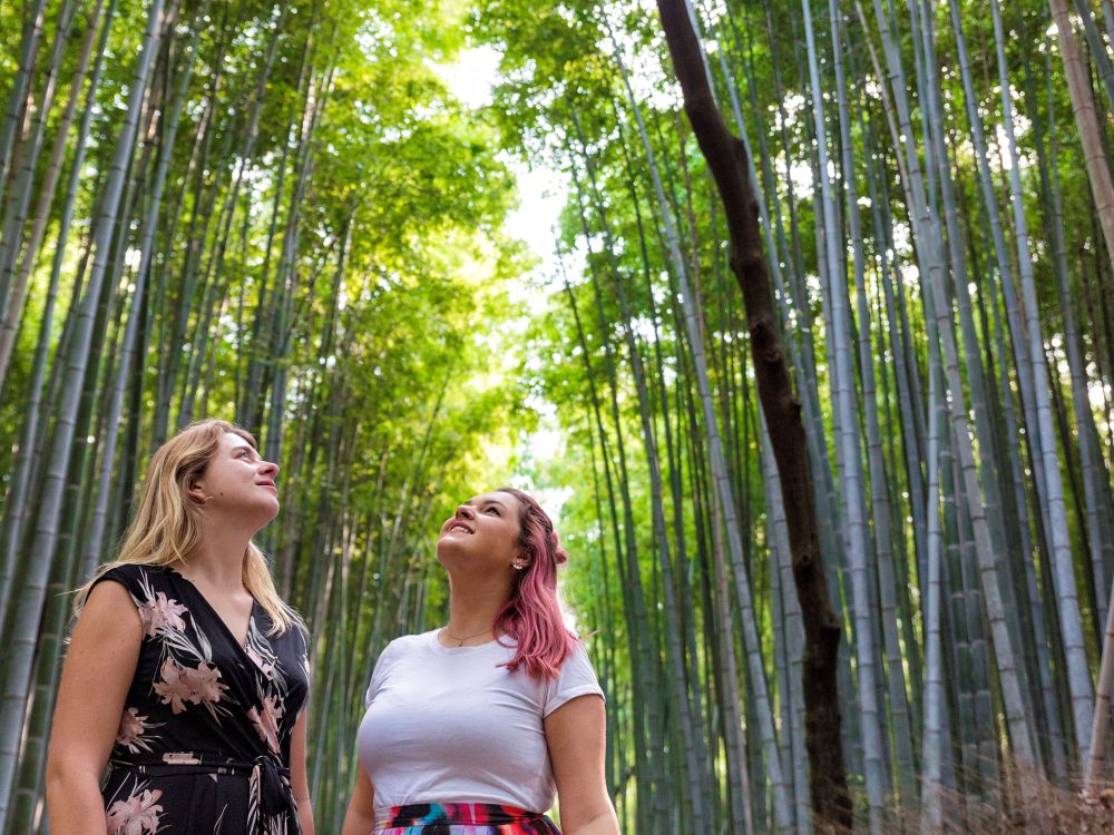 Bambuskog Kyoto 