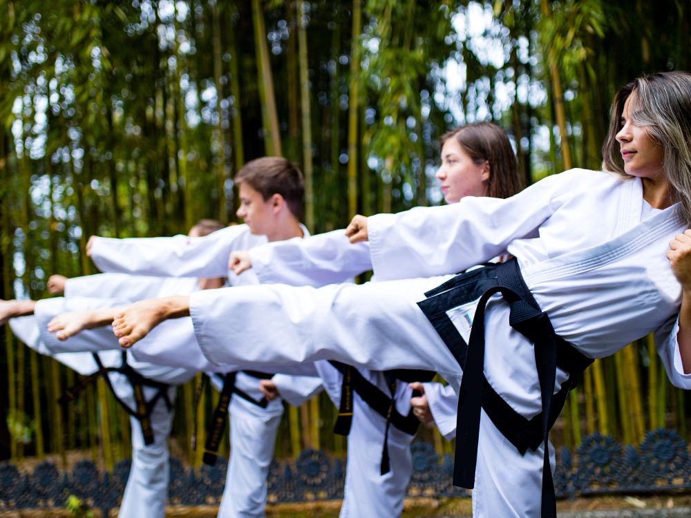 Snabbkurs i Taekwondo