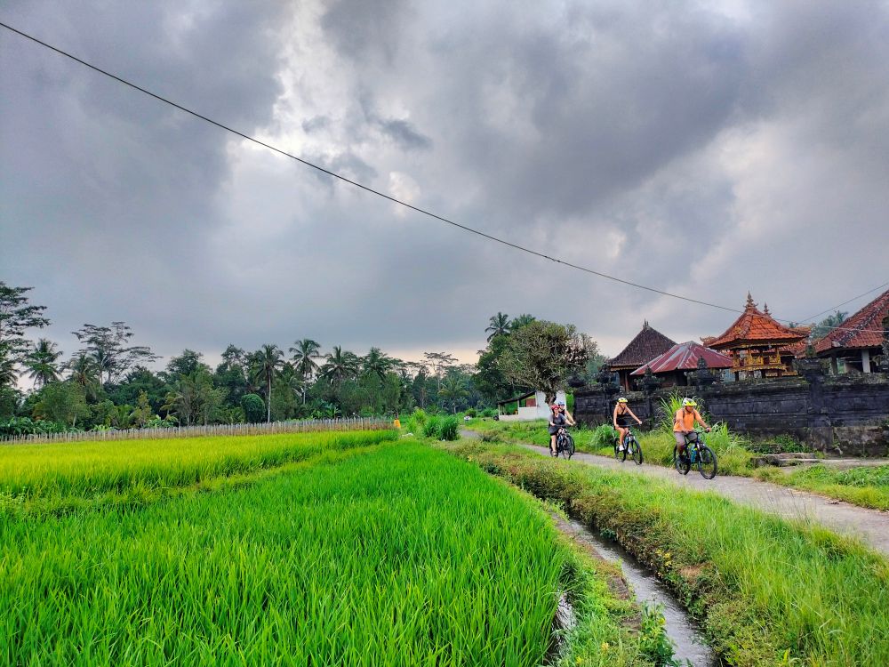 Cykling i vackra Ubud