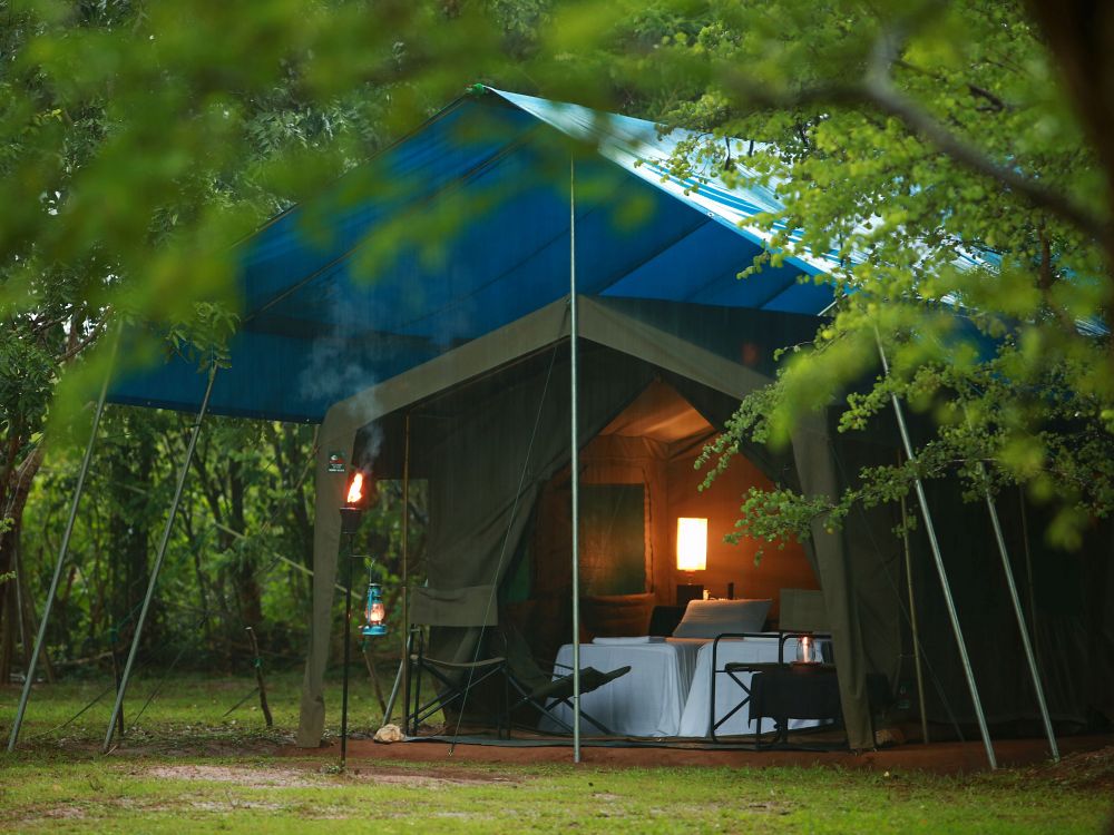 Safari camp i Wilpattu