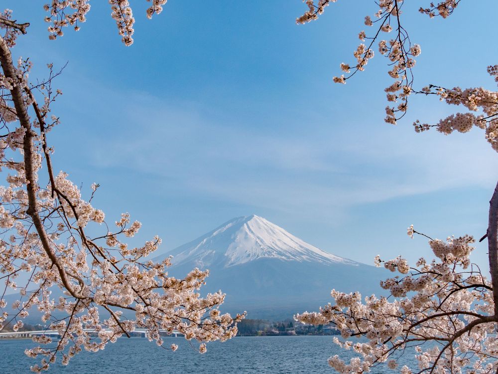 Mount Fuji