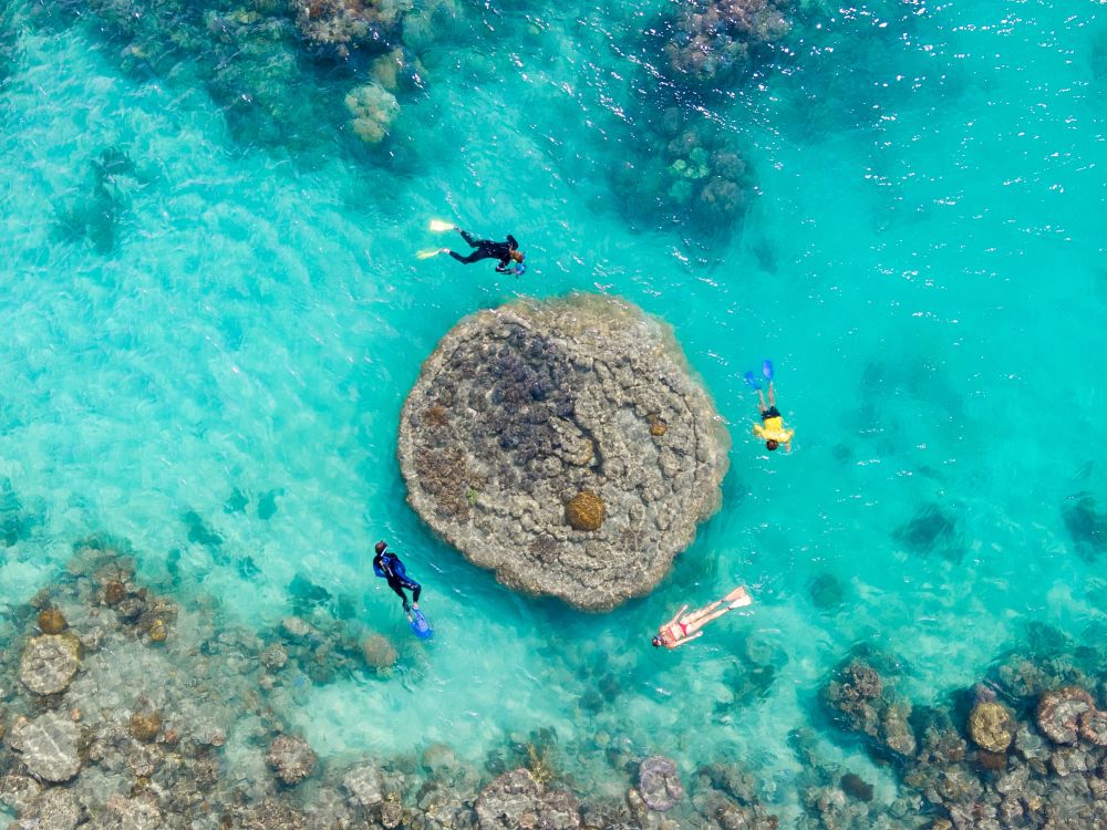 Snorkelturer vid Whitsundays