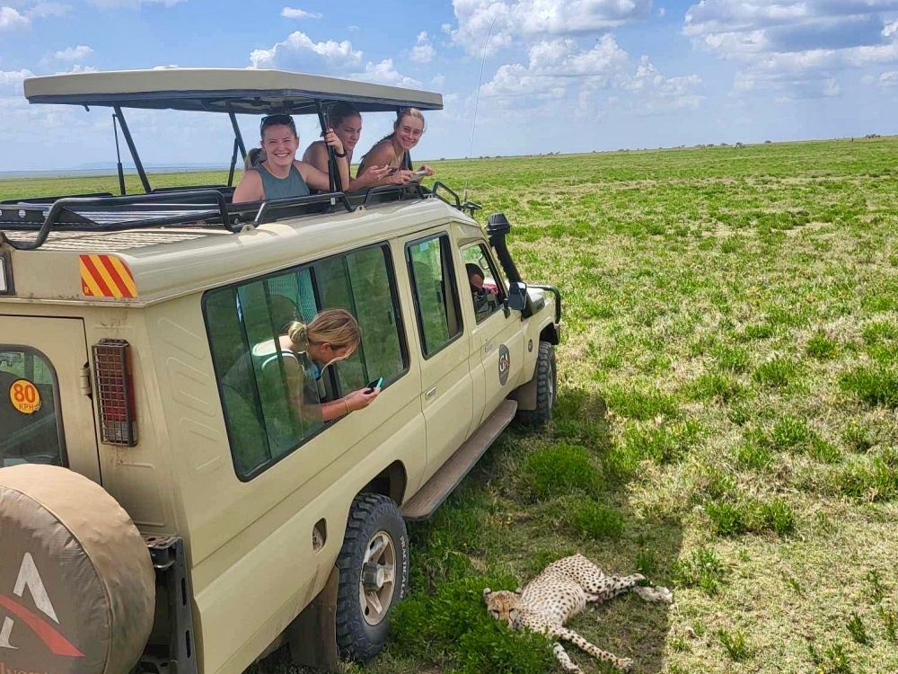 Safari i Ngorongoro-kratern