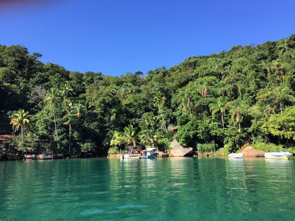 Tropiska laguner och palmer på Ilha Grande
