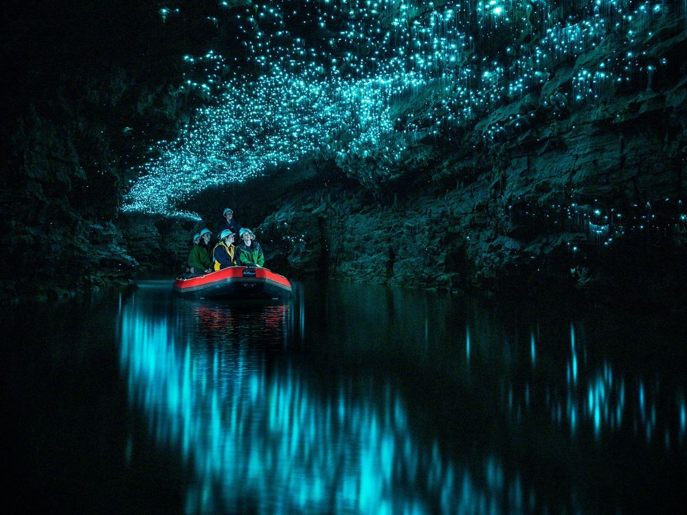 Spellbound Glowworm Caves
