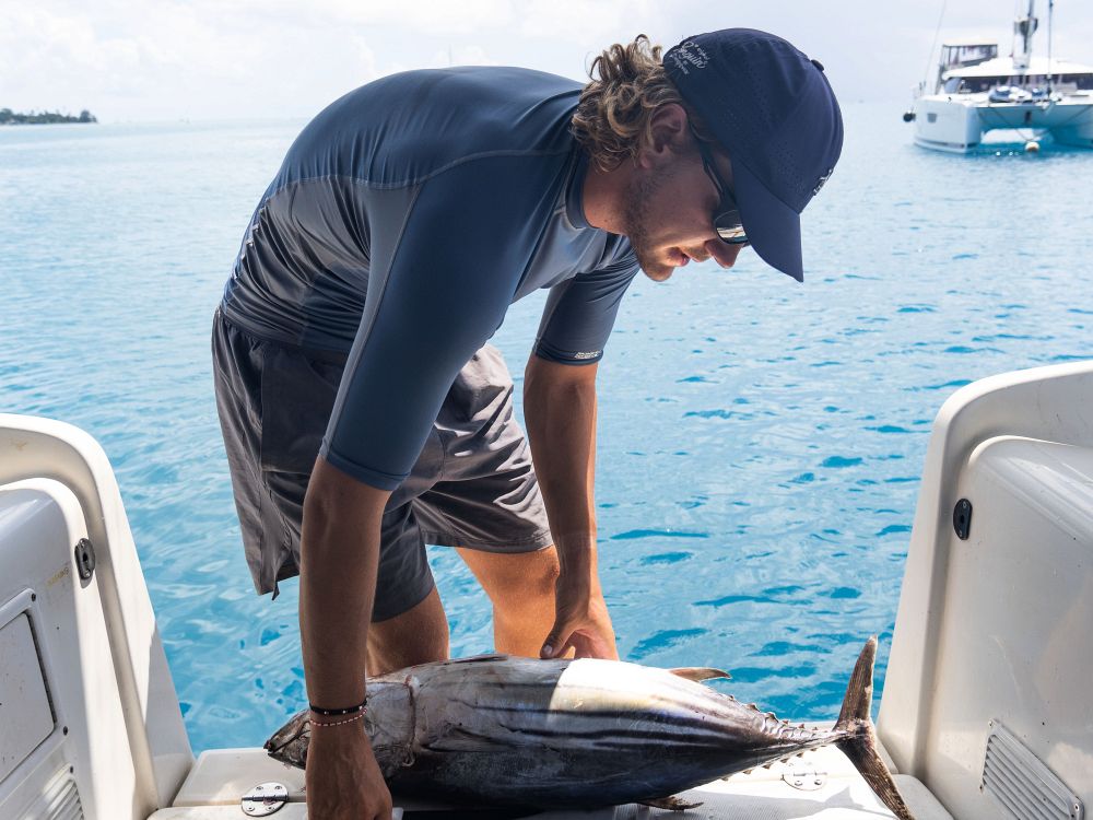 Kvällsmenyn = nyfångad tonfisk