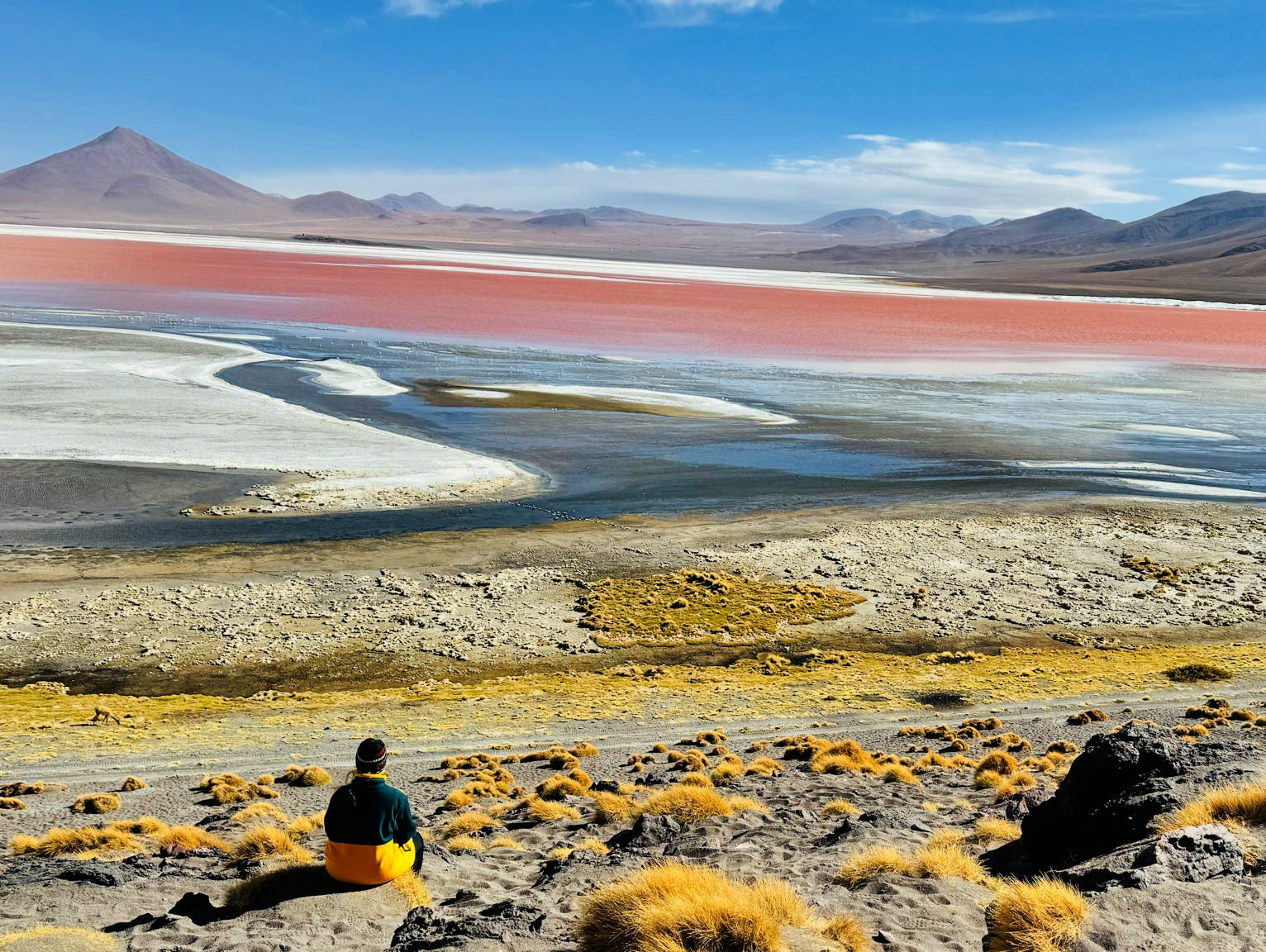 Tebenquinche-lagunen i Chile