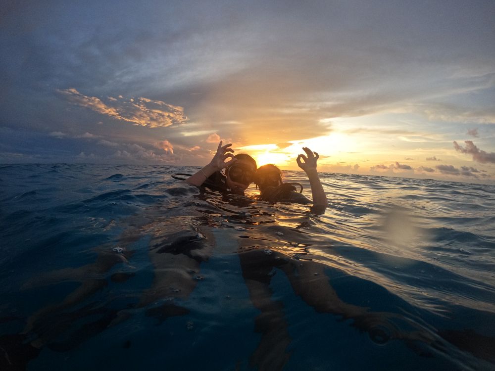 Magiskt dyk vid solnedgång