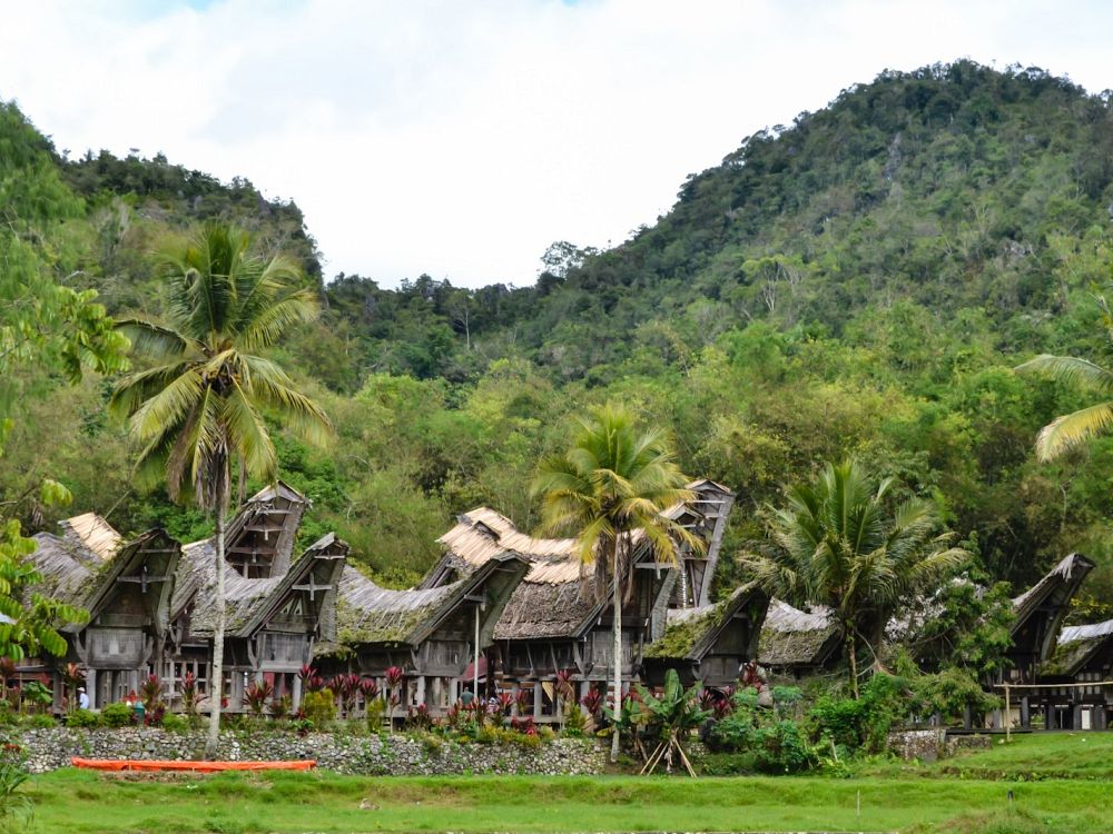Tongkonan – Torajas traditionella hus