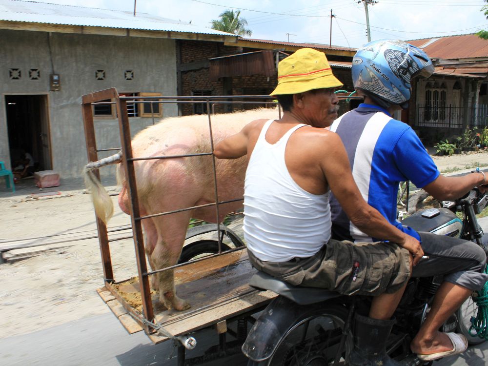 Byliv och lokala marknader