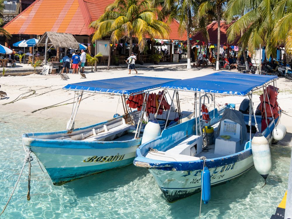 Palmer och turkosblått hav på Isla Mujeres